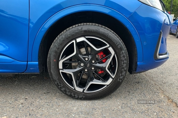 Used Ford Kuga 2025 for sale - 76271120: Photo 6