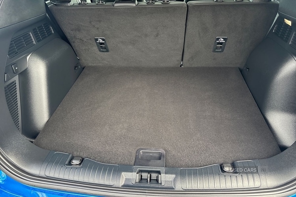 Used Ford Kuga 2025 for sale - 78101839: Photo 12