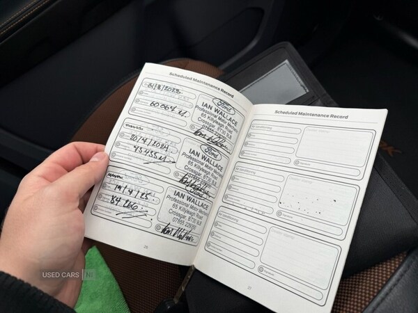 Used Ford Ranger 2017 for sale - 77217913: Photo 11