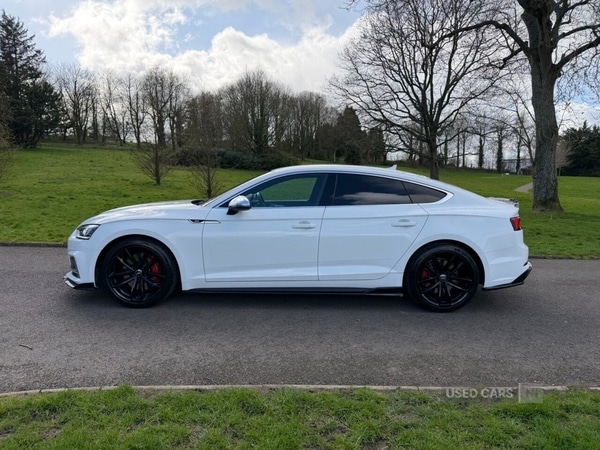 Used Audi S5 for sale - 78101661: Photo 14