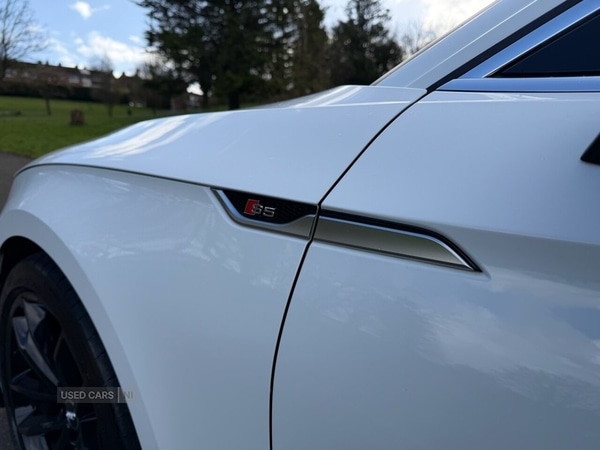 Used Audi S5 for sale - 78101661: Photo 15