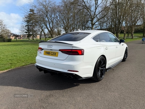 Used Audi S5 for sale - 78101661: Photo 45