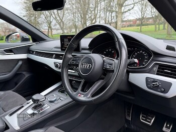 Used Audi A4 2017 for sale - 77784860: Photo