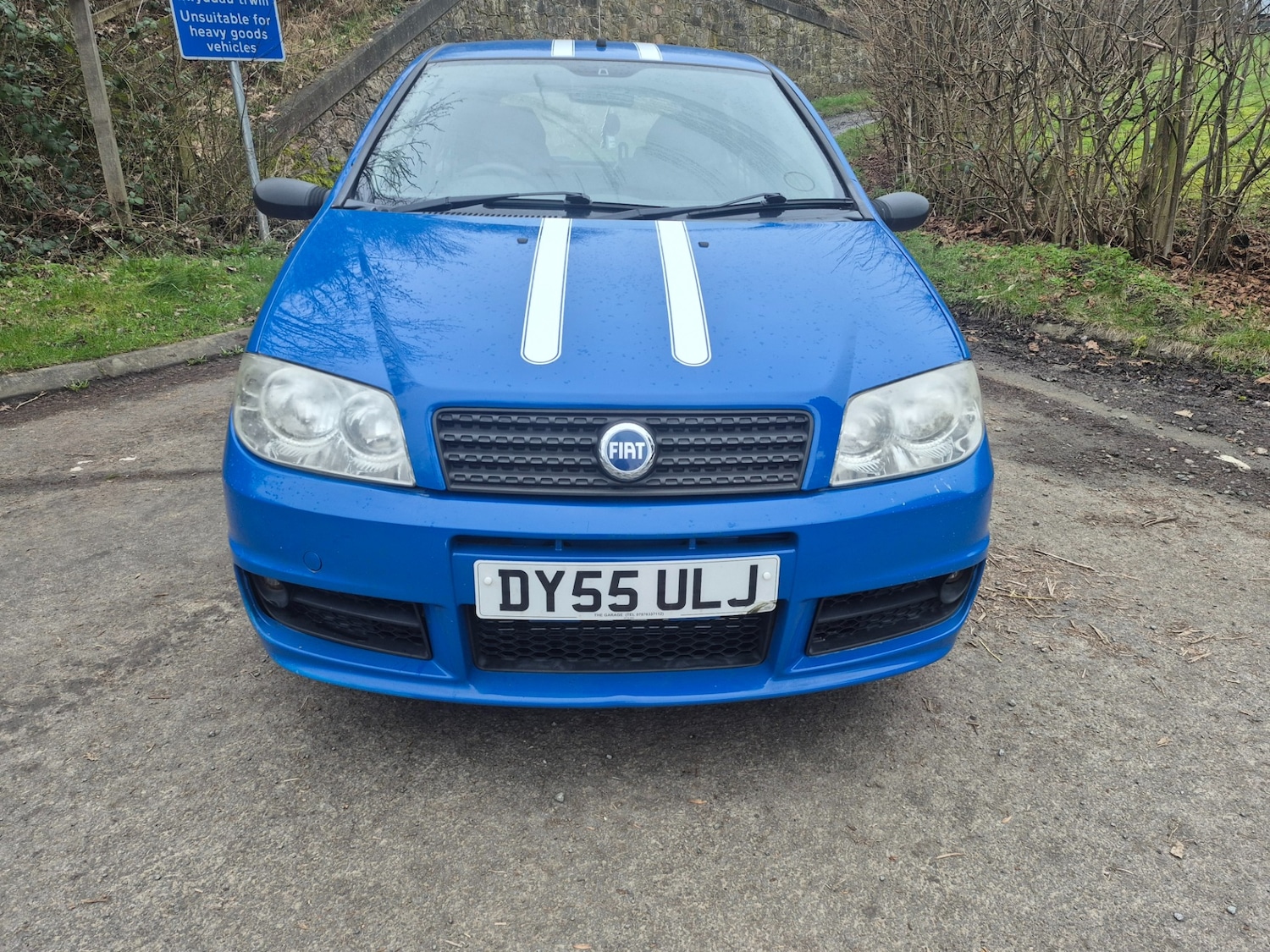 Used Fiat Punto 2005 for sale - 77800193: Photo 3