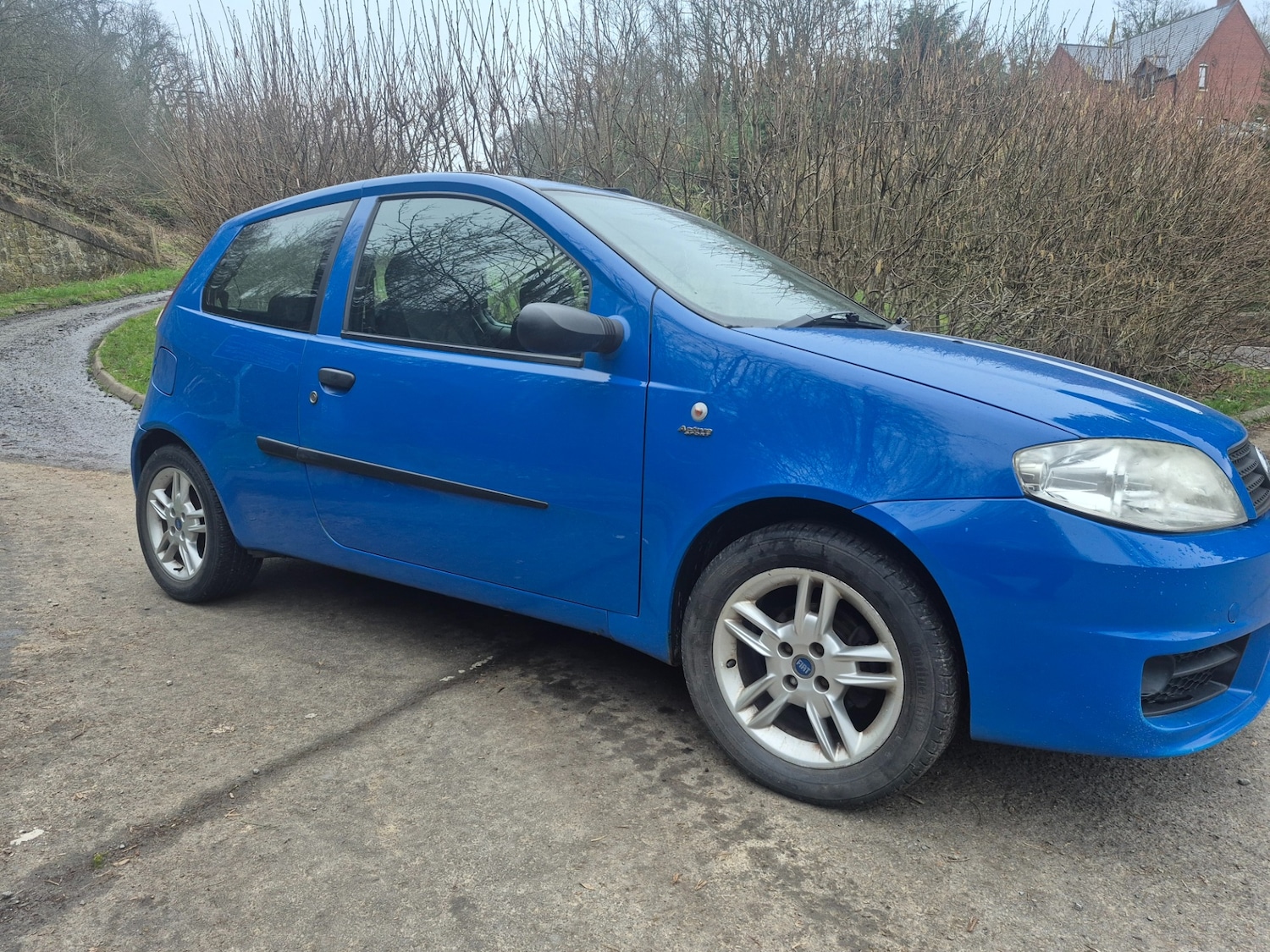 Used Fiat Punto 2005 for sale - 77800193: Photo 5