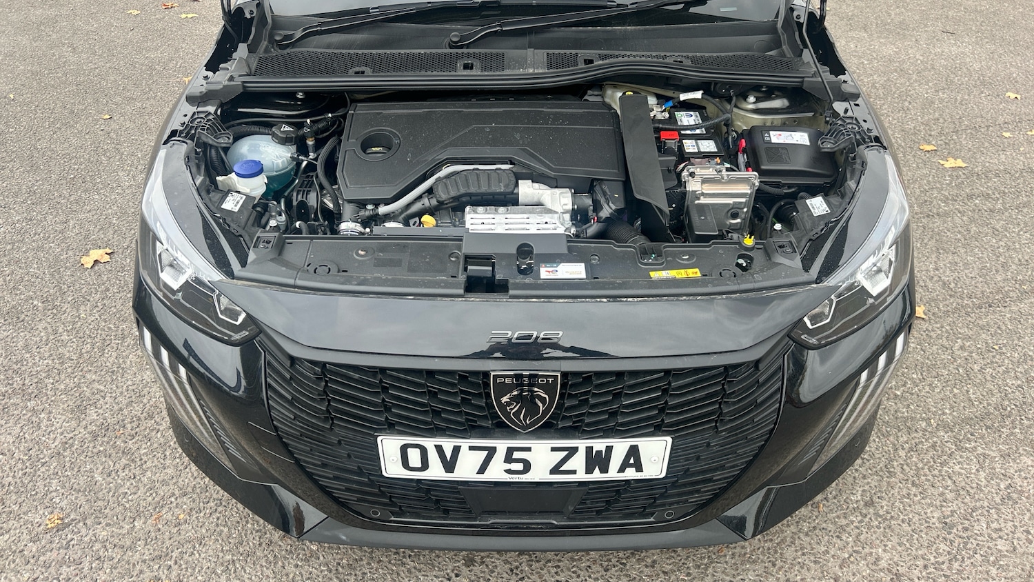 Used Peugeot 208 2025 for sale - 76918762: Photo 8