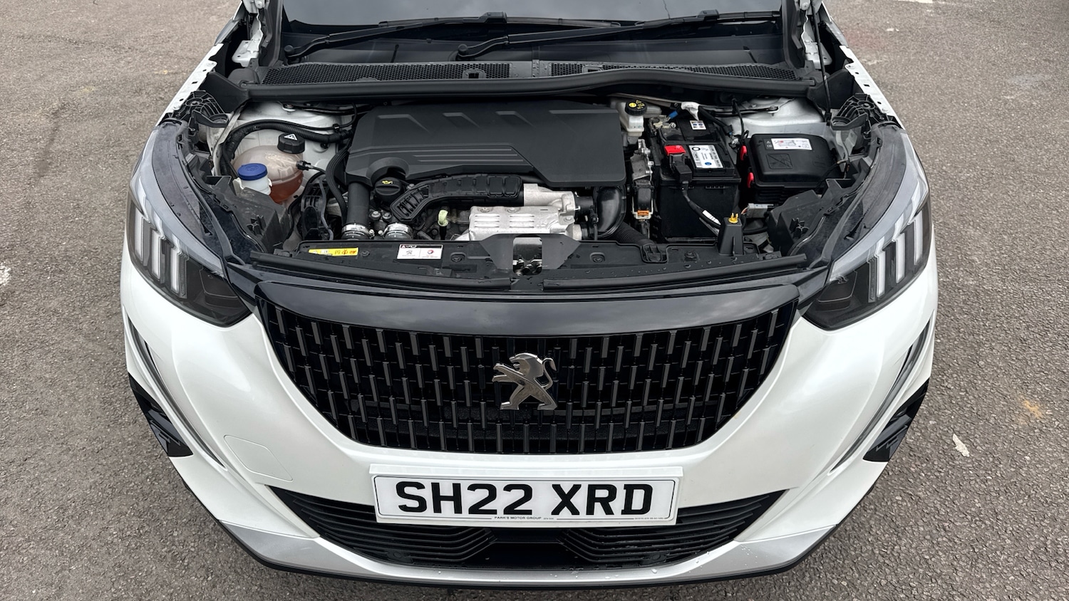 Used Peugeot 2008 2022 for sale - 76186562: Photo 8
