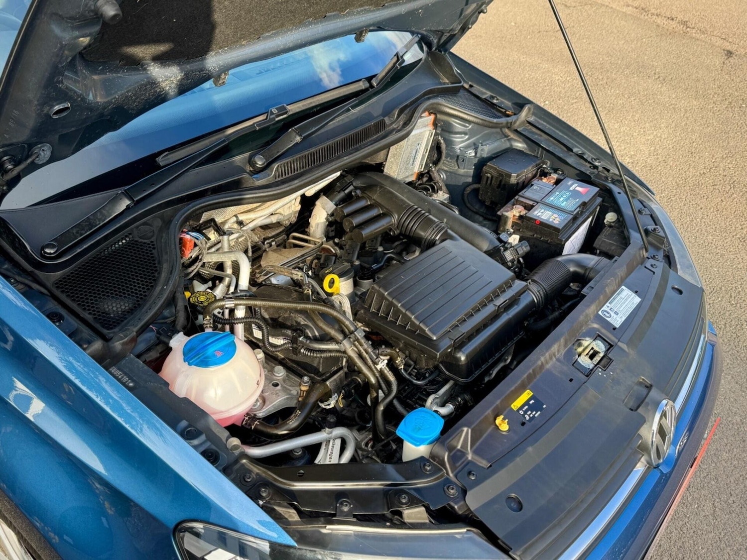 Used Volkswagen Polo 2016 for sale - 77896792: Photo 11