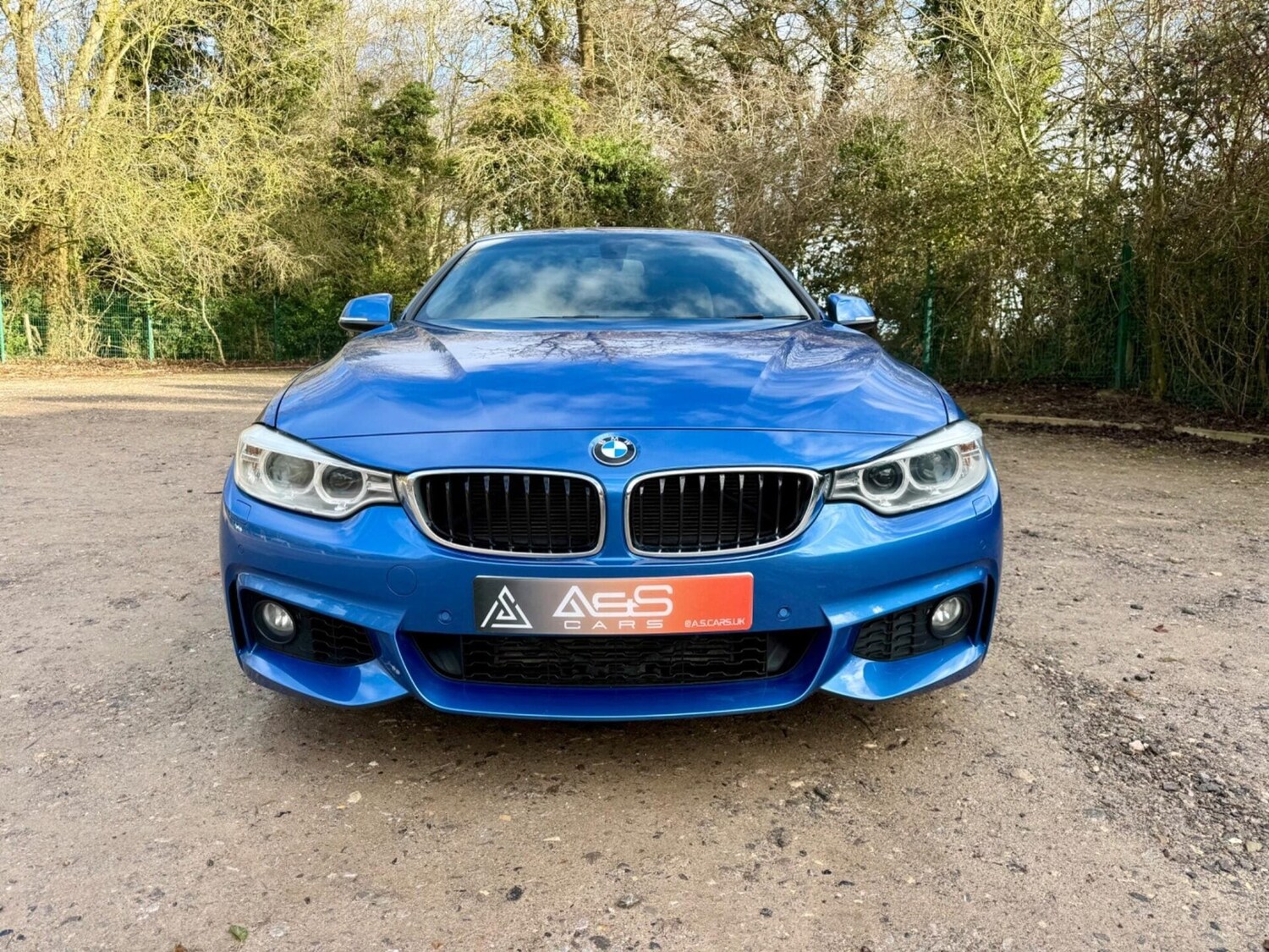 Used BMW 4 Series 2014 for sale - 77363396: Photo 8