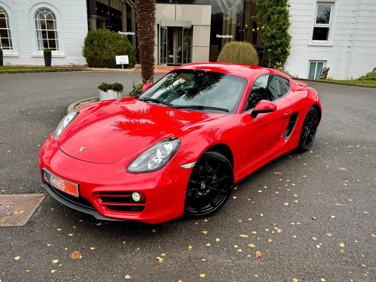 Used Porsche Cayman 2013 for sale - 77204830: Photo 13