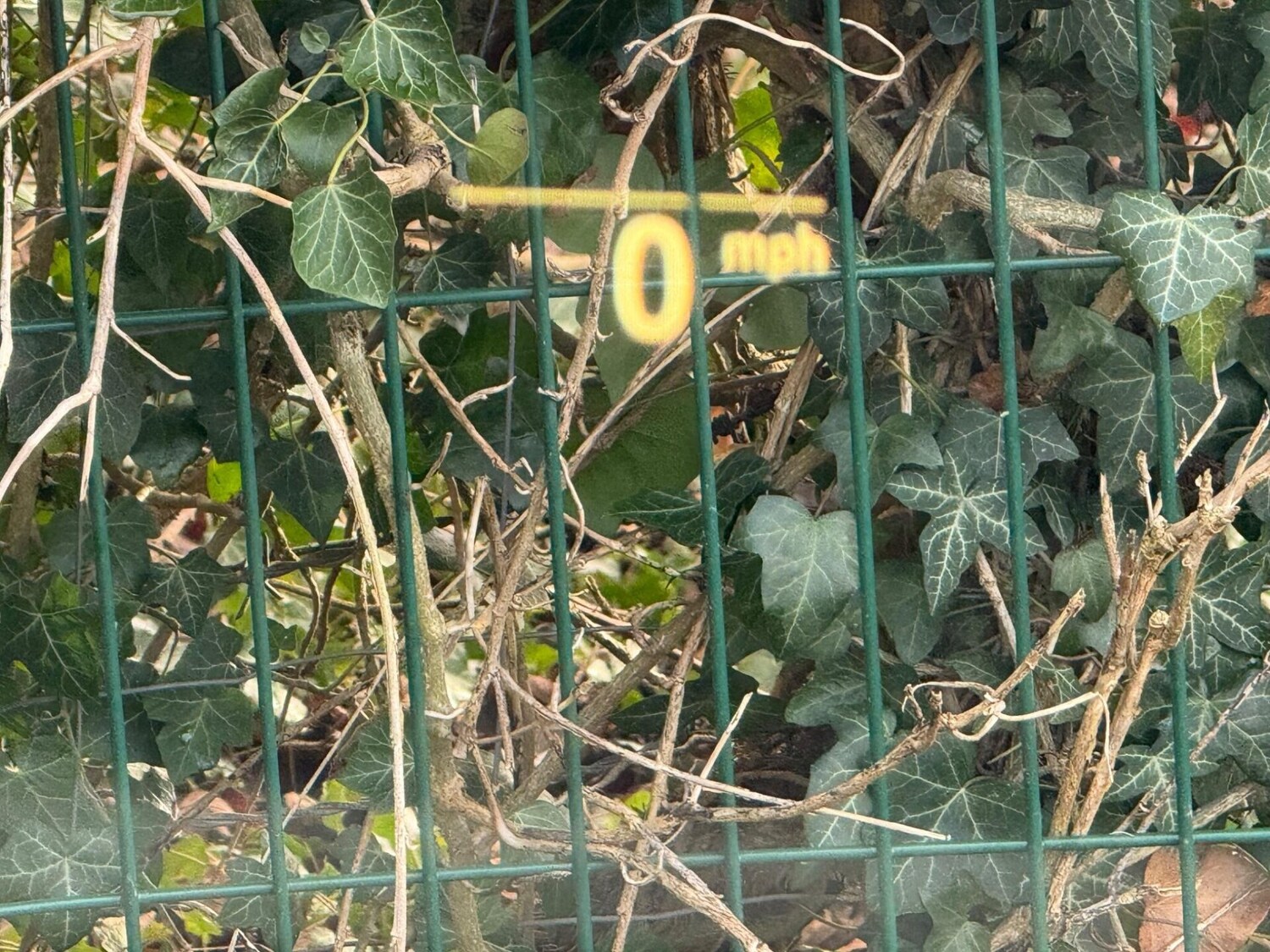 Used BMW 5 Series 2021 for sale - 77391782: Photo 80