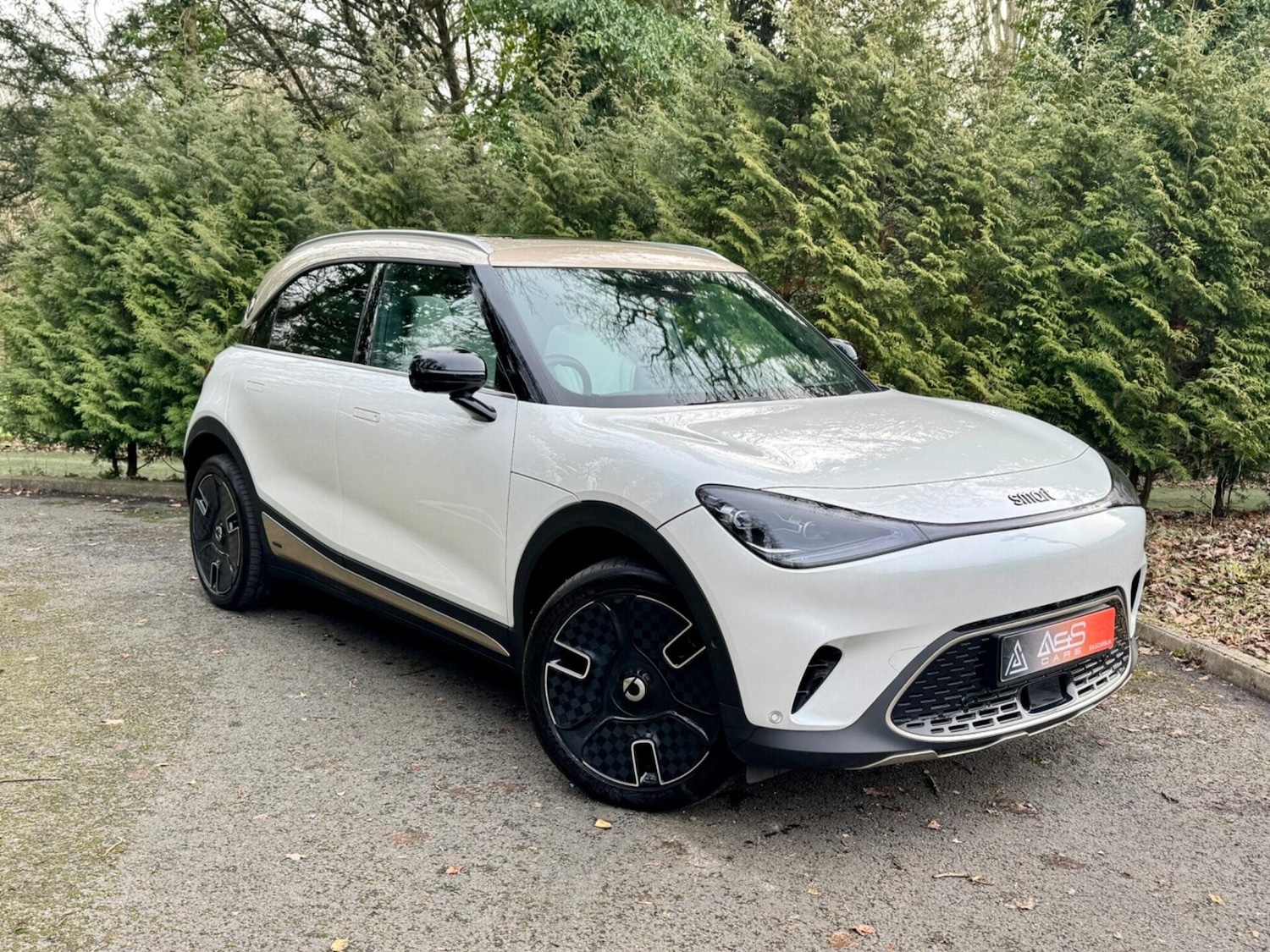 Used smart #1 2024 for sale - 77638873: Photo 11