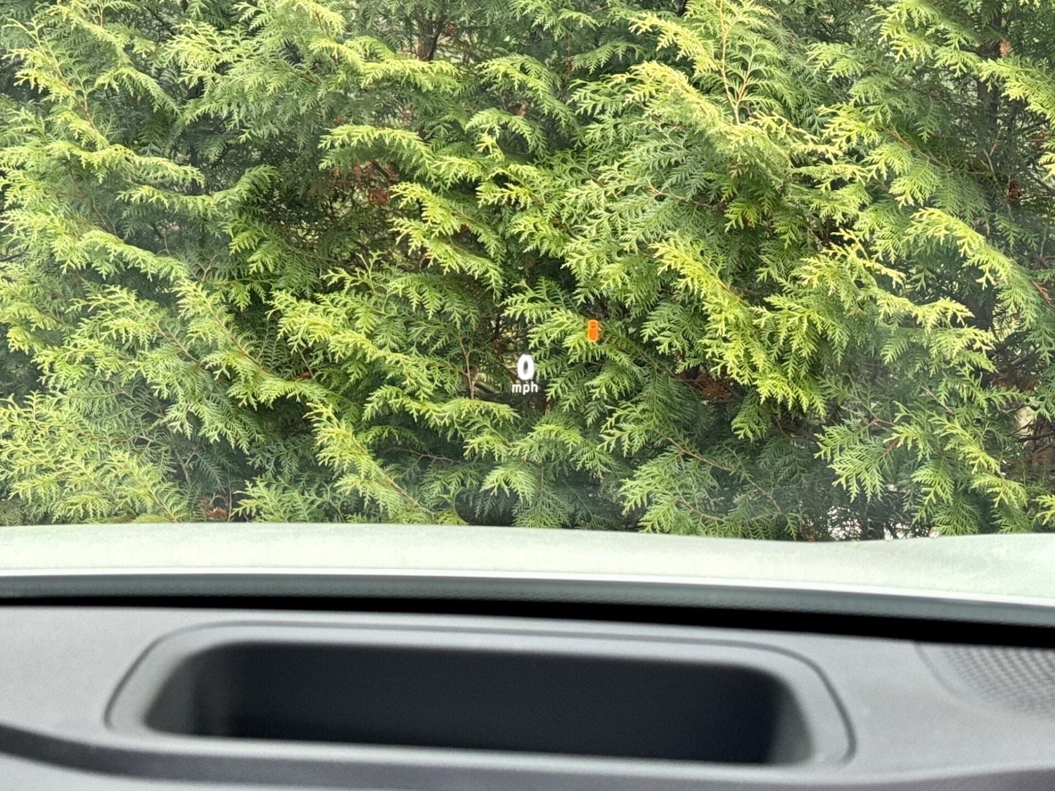 Used smart #1 2024 for sale - 77638873: Photo 12