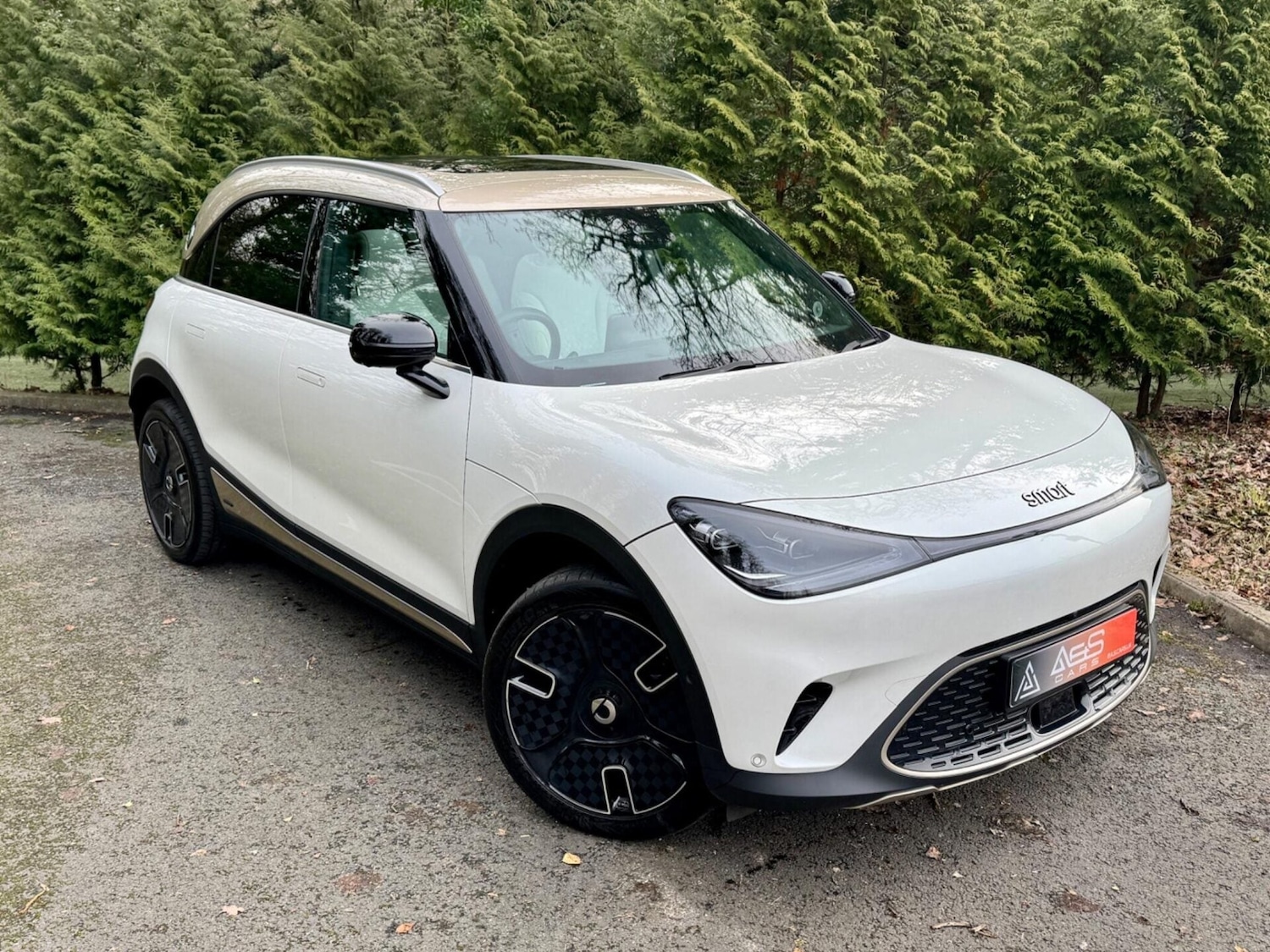 Used smart #1 2024 for sale - 77638873: Photo 15