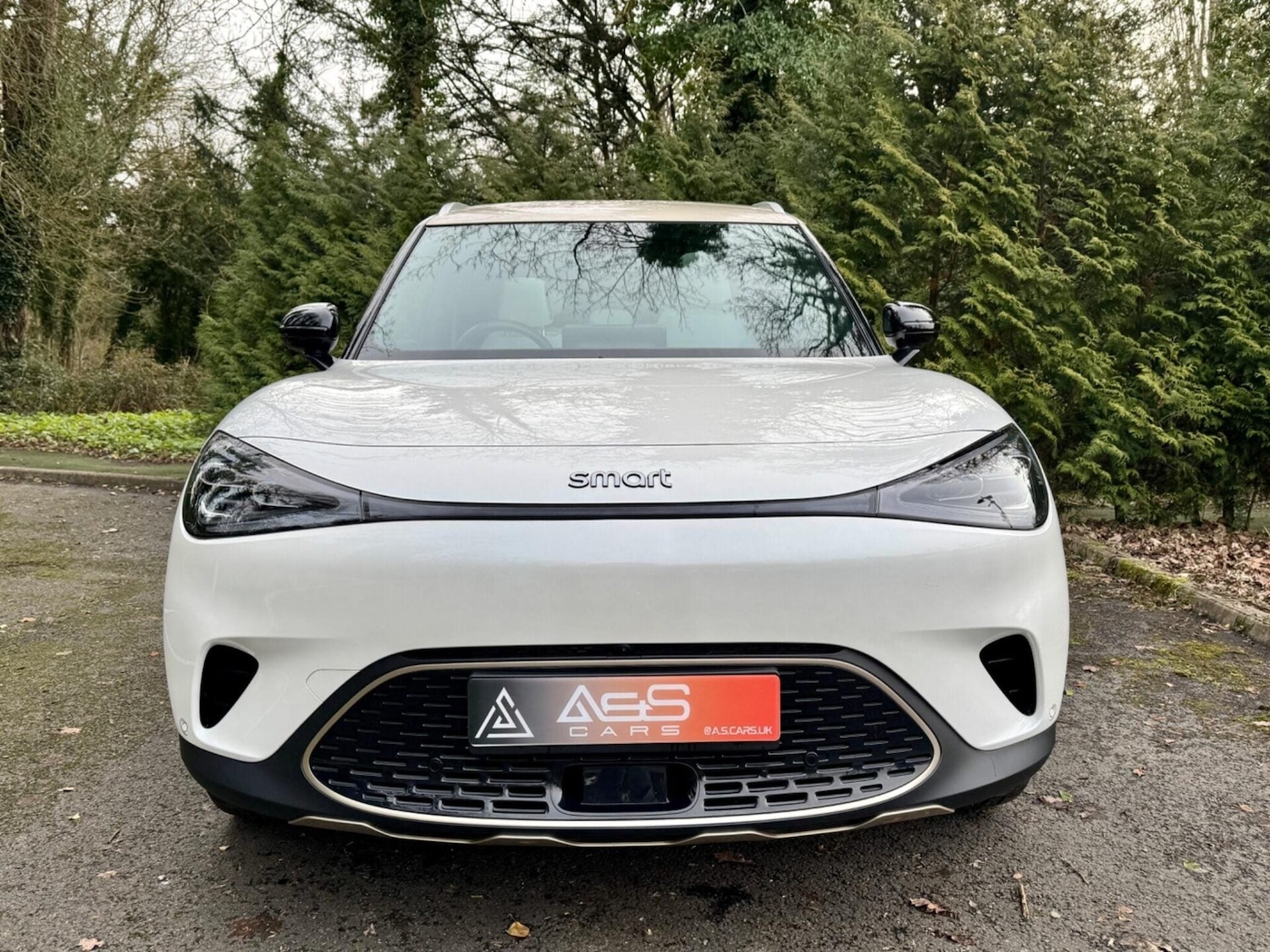 Used smart #1 2024 for sale - 77638873: Photo 18