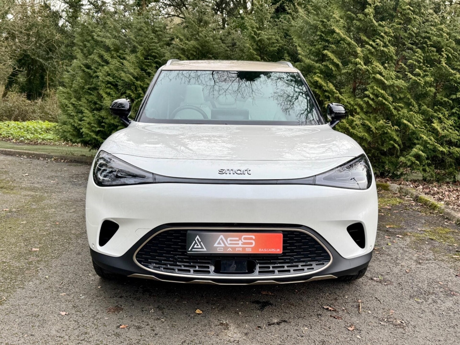 Used smart #1 2024 for sale - 77638873: Photo 25