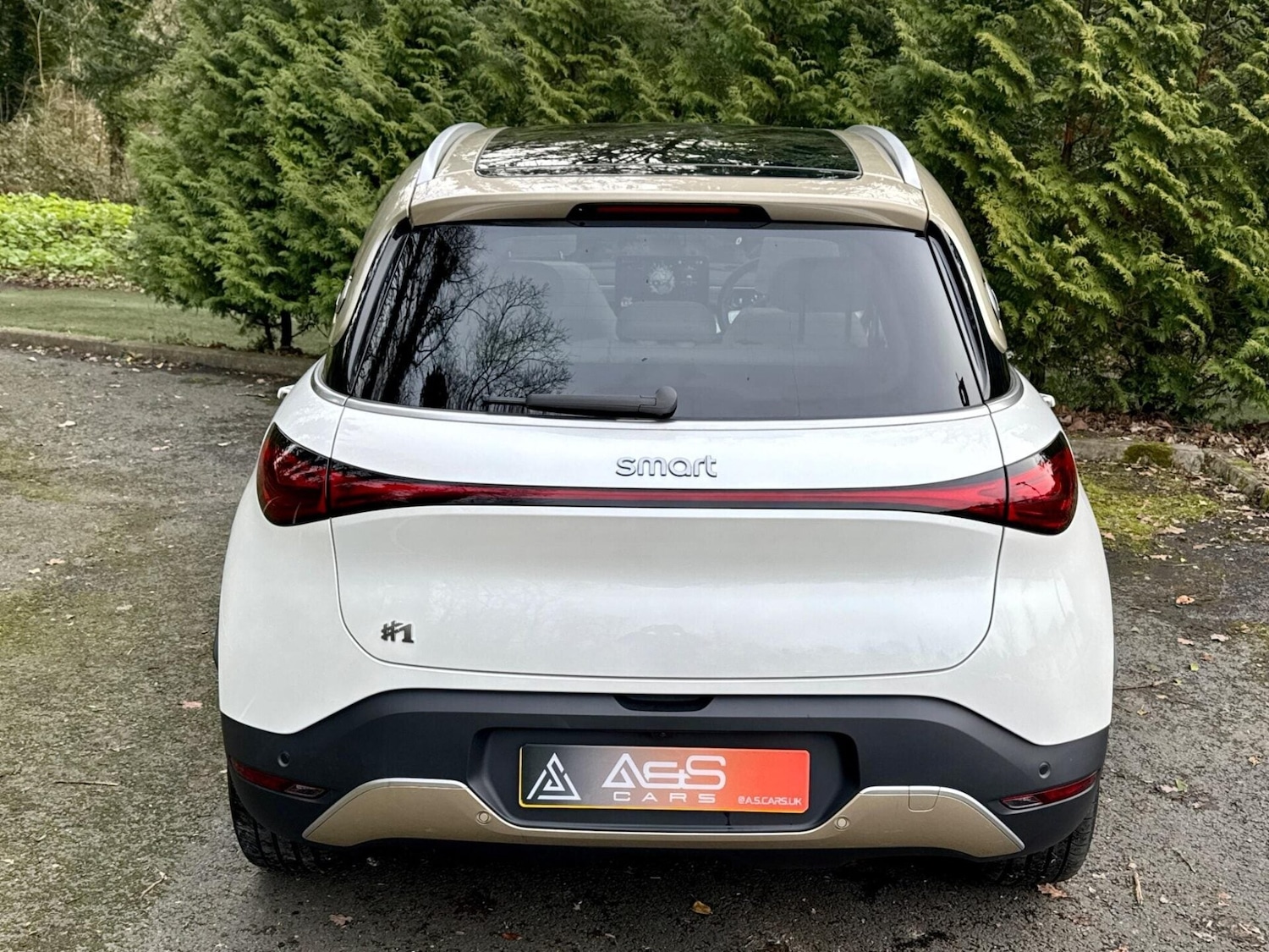 Used smart #1 2024 for sale - 77638873: Photo 39