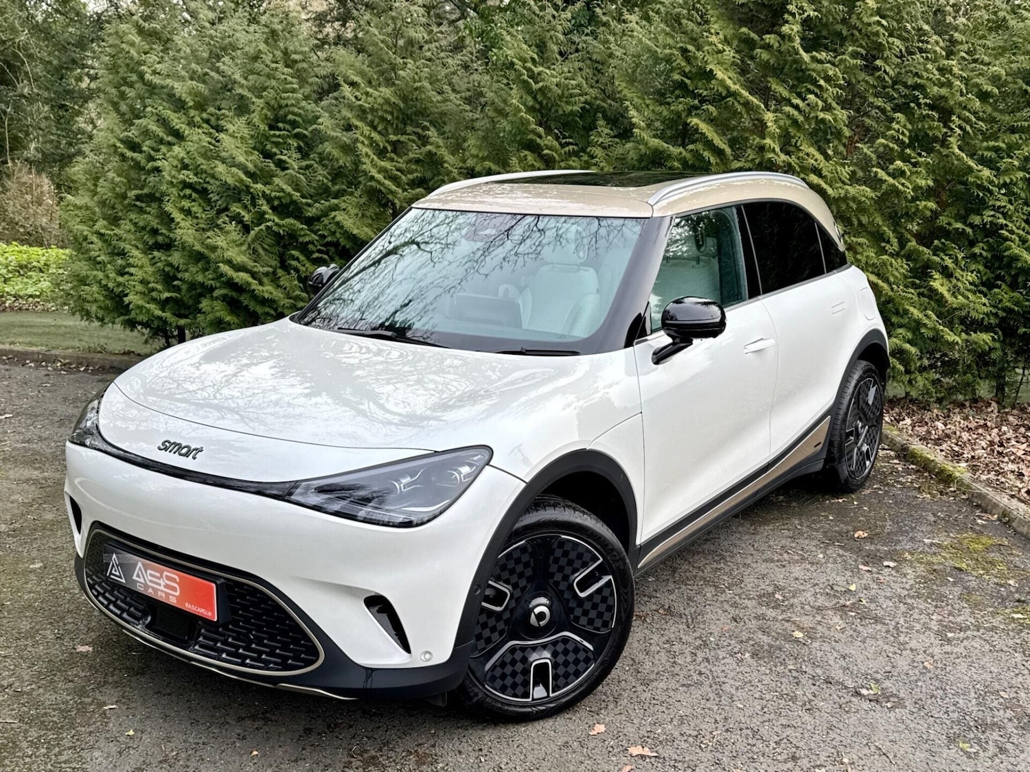 Used smart #1 2024 for sale - 77638873: Photo 51