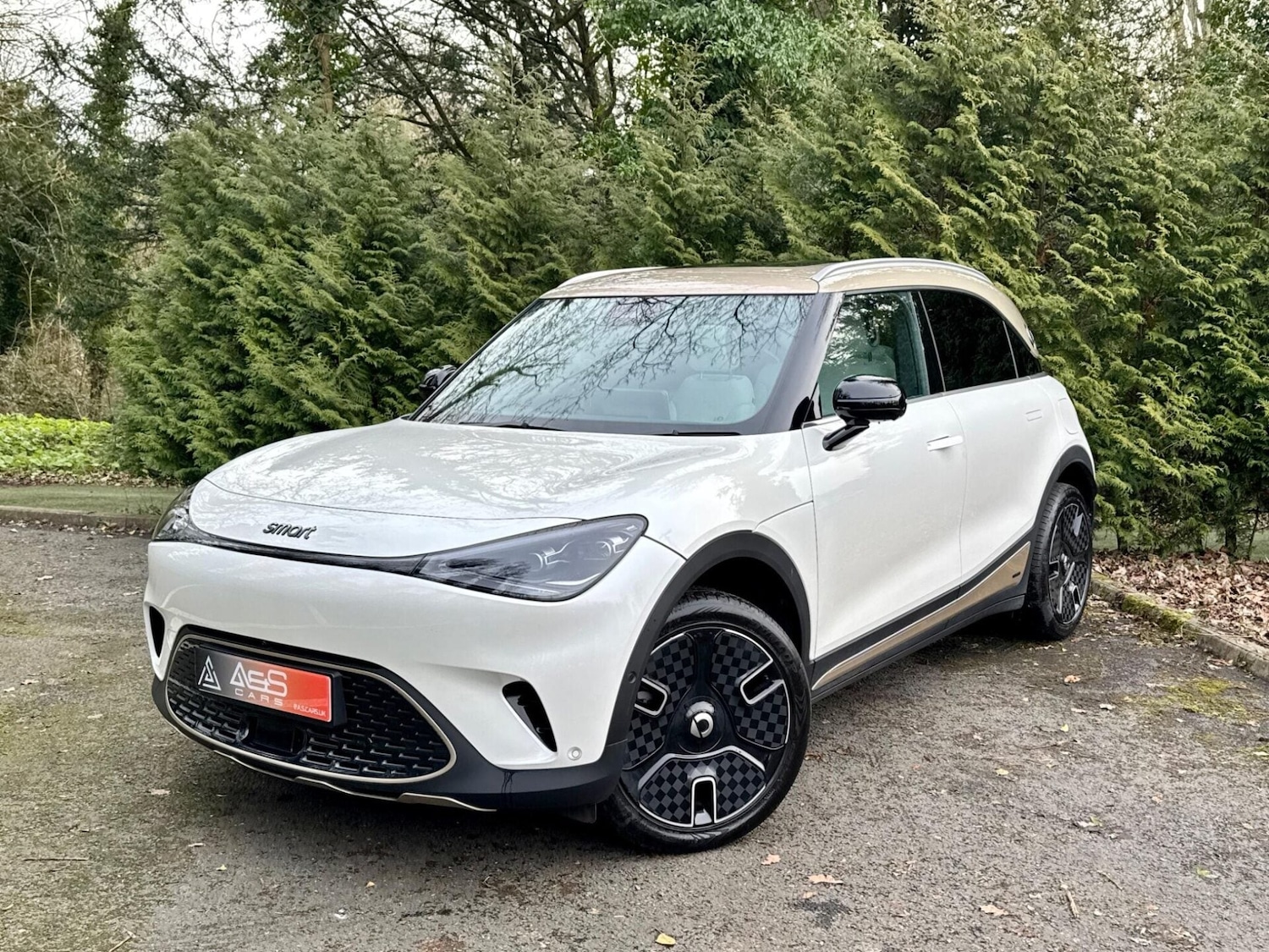 Used smart #1 2024 for sale - 77638873: Photo 53