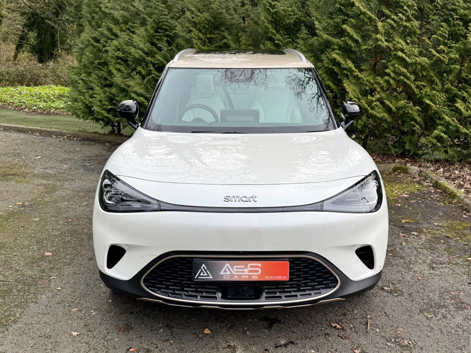 Used smart #1 2024 for sale - 77638873: Photo 6