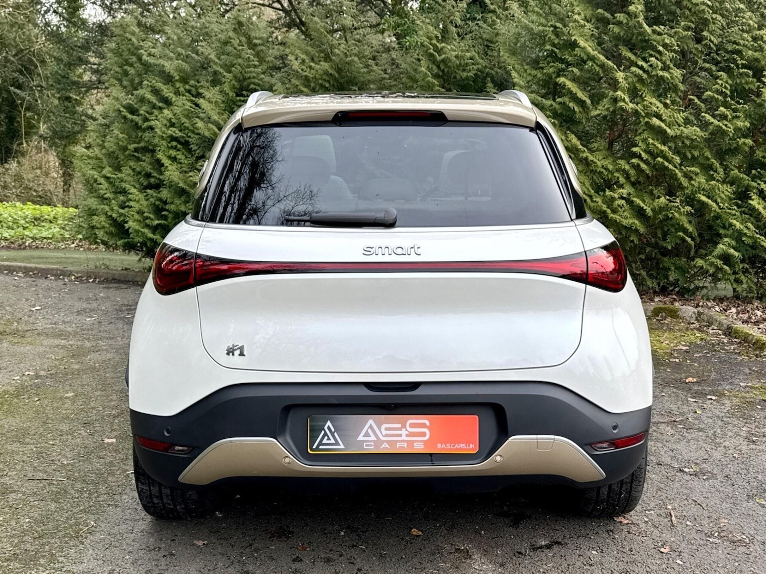 Used smart #1 2024 for sale - 77638873: Photo 8