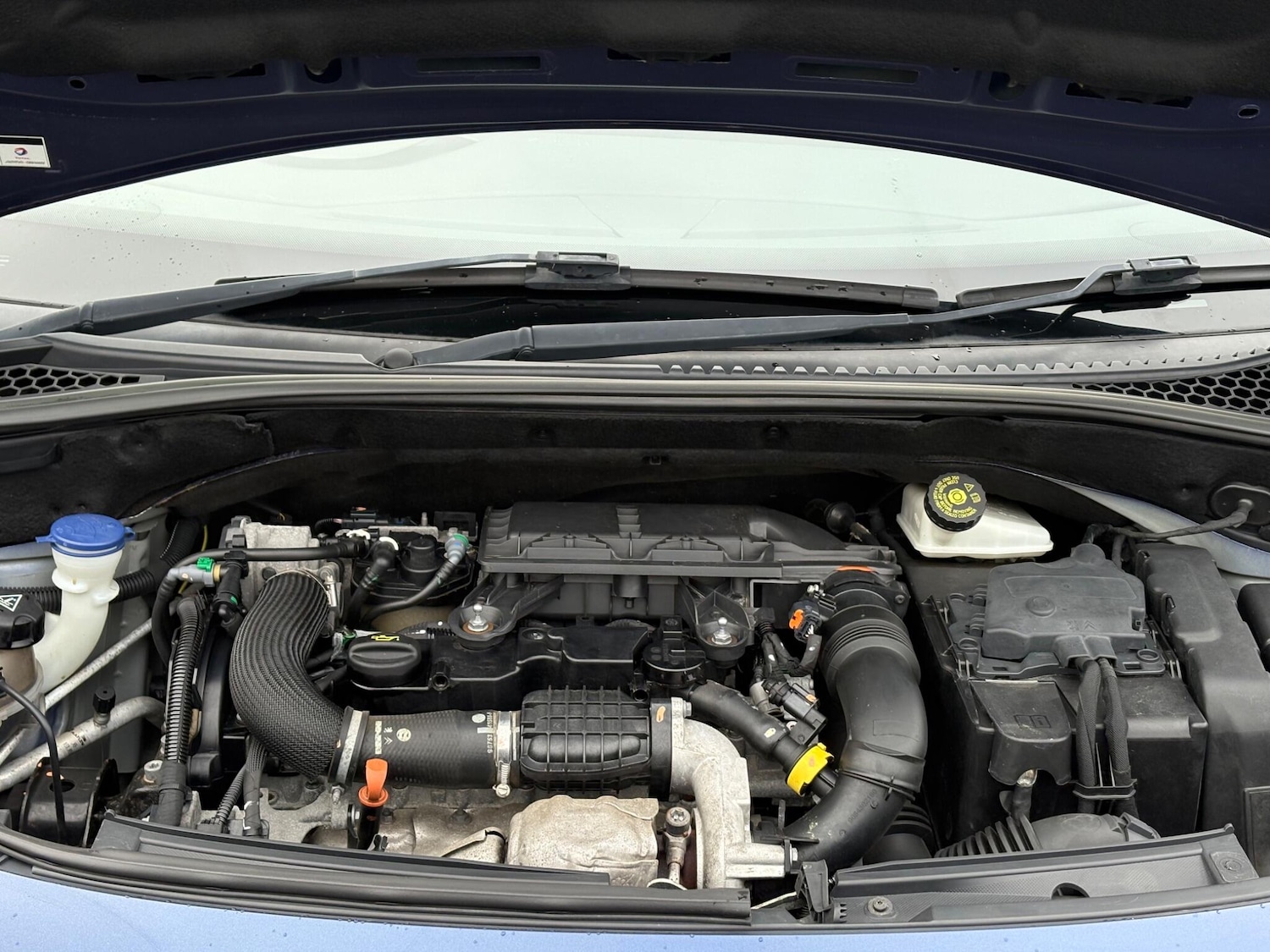 Used Citroen C3 2015 for sale - 77255426: Photo 27