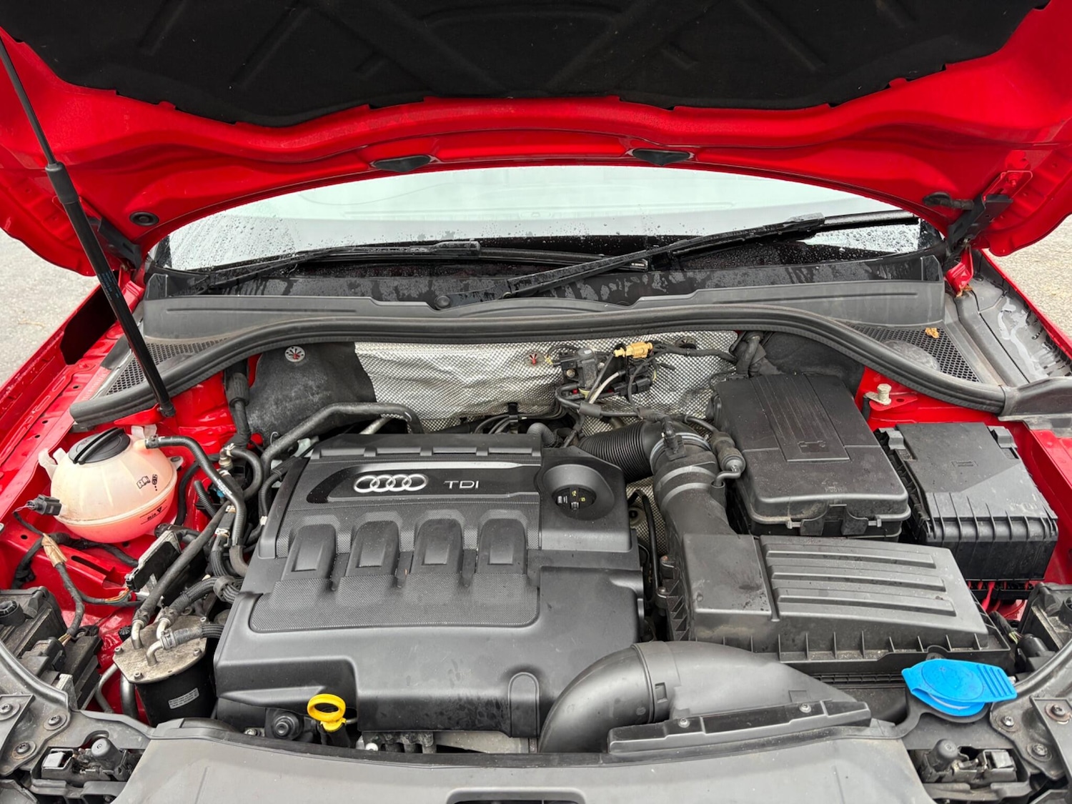 Used Audi Q3 2016 for sale - 77646872: Photo 31