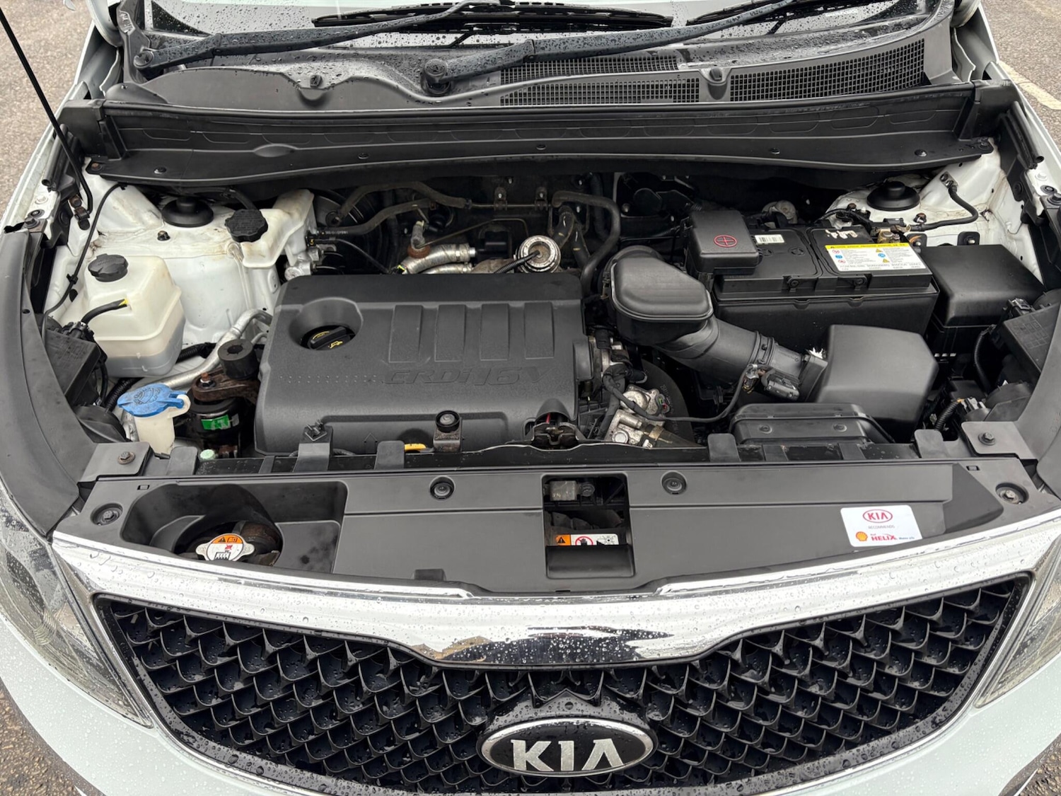 Used Kia Sportage 2014 for sale - 76994663: Photo 42