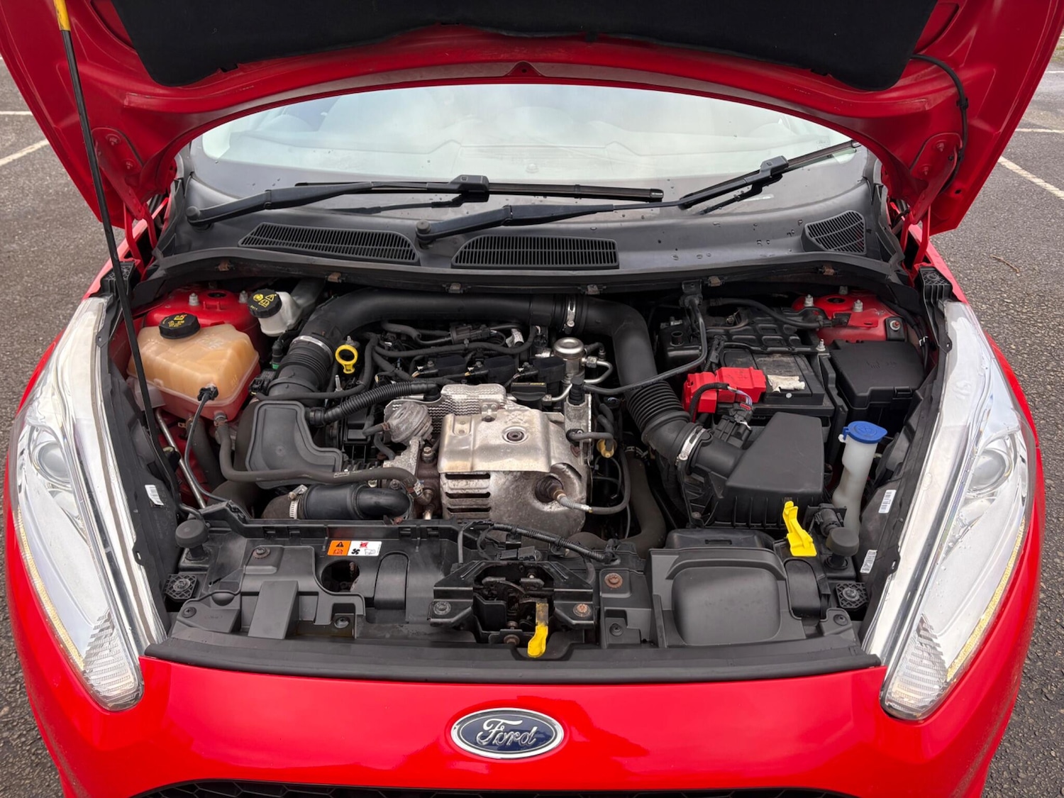 Used Ford Fiesta 2016 for sale - 77411405: Photo 30