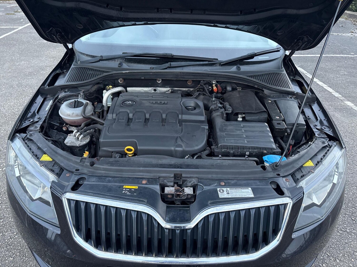 Used Skoda Octavia for sale - 77840011: Photo 20