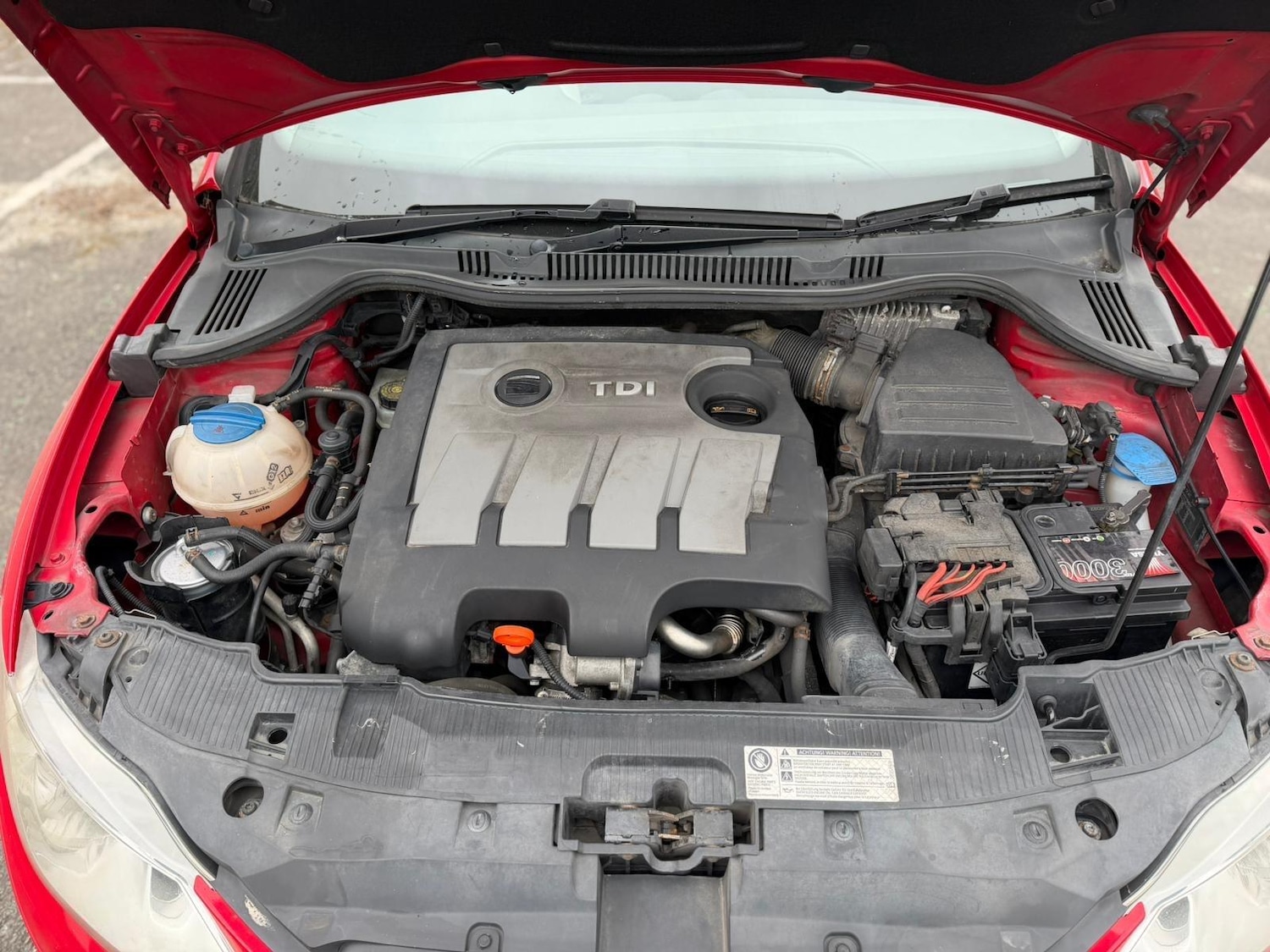 Used SEAT Ibiza 2010 for sale - 78204101: Photo 17