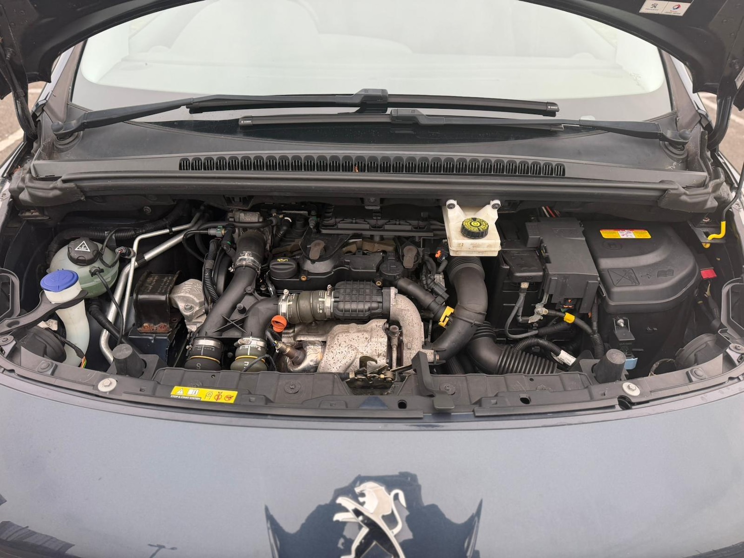 Used Peugeot 3008 2014 for sale - 78007543: Photo 15