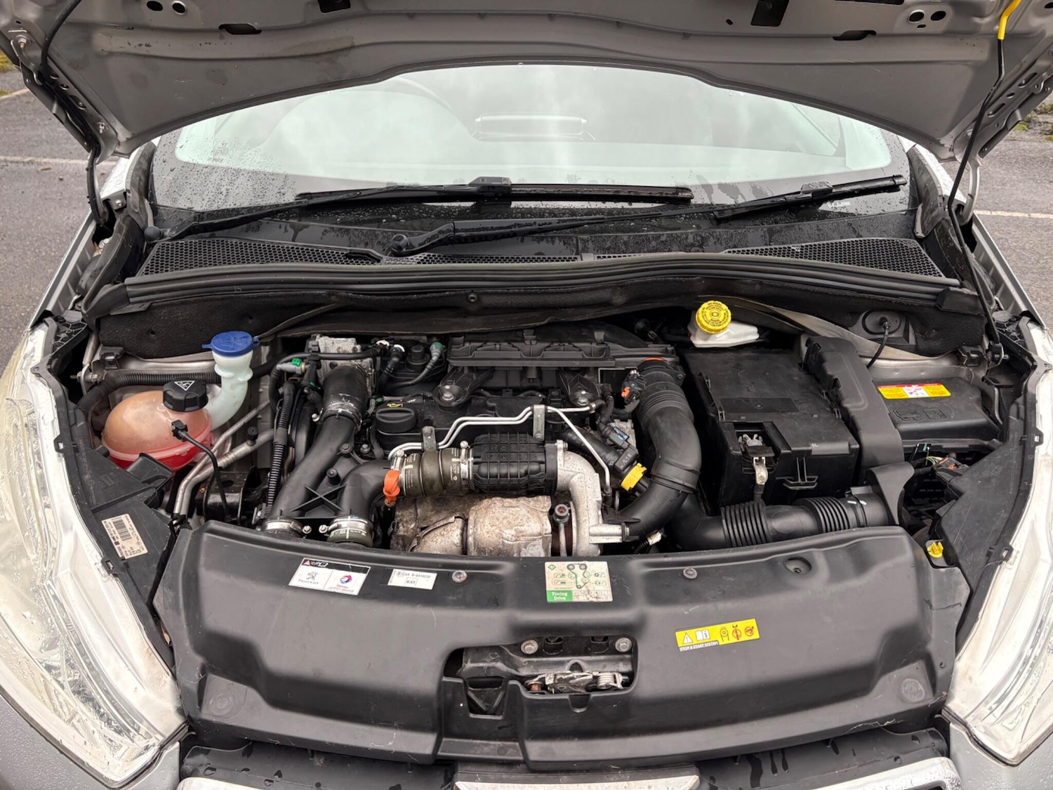 Used Peugeot 208 for sale - 77670320: Photo 13