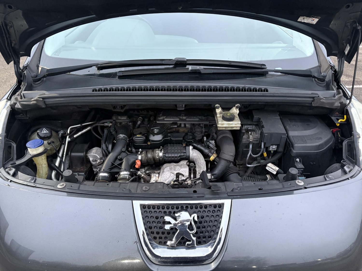 Used Peugeot 3008 2011 for sale - 77440722: Photo 15