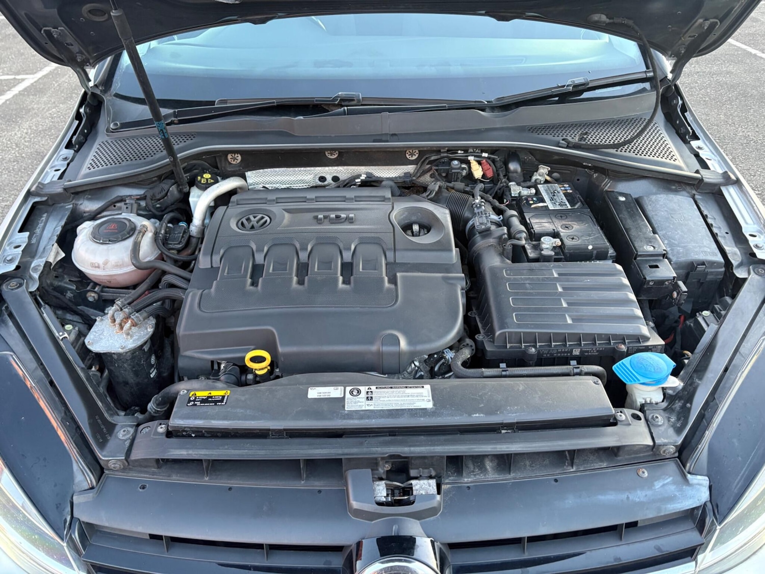 Used Volkswagen Golf 2019 for sale - 77109665: Photo 24