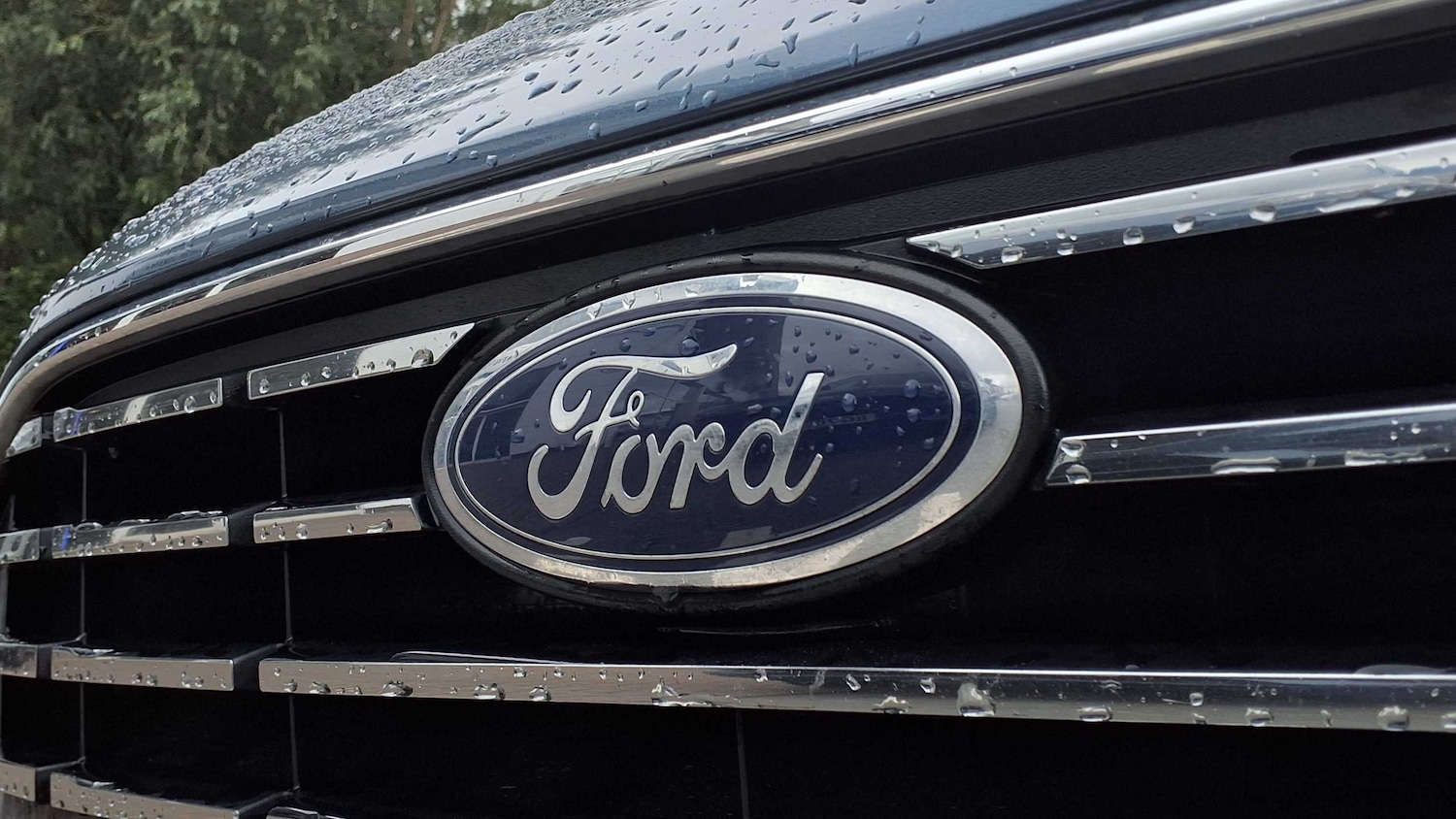 Used Ford Focus 2023 for sale - 76034727: Photo 17