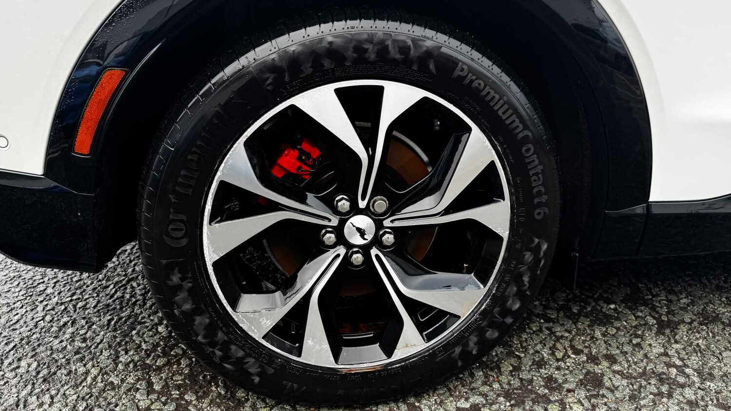 Used Ford Mustang Mach-E 2023 for sale - 77257246: Photo 10