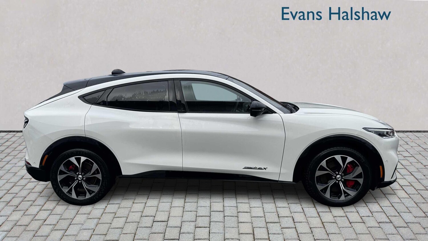 Used Ford Mustang Mach-E 2023 for sale - 77257246: Photo 8