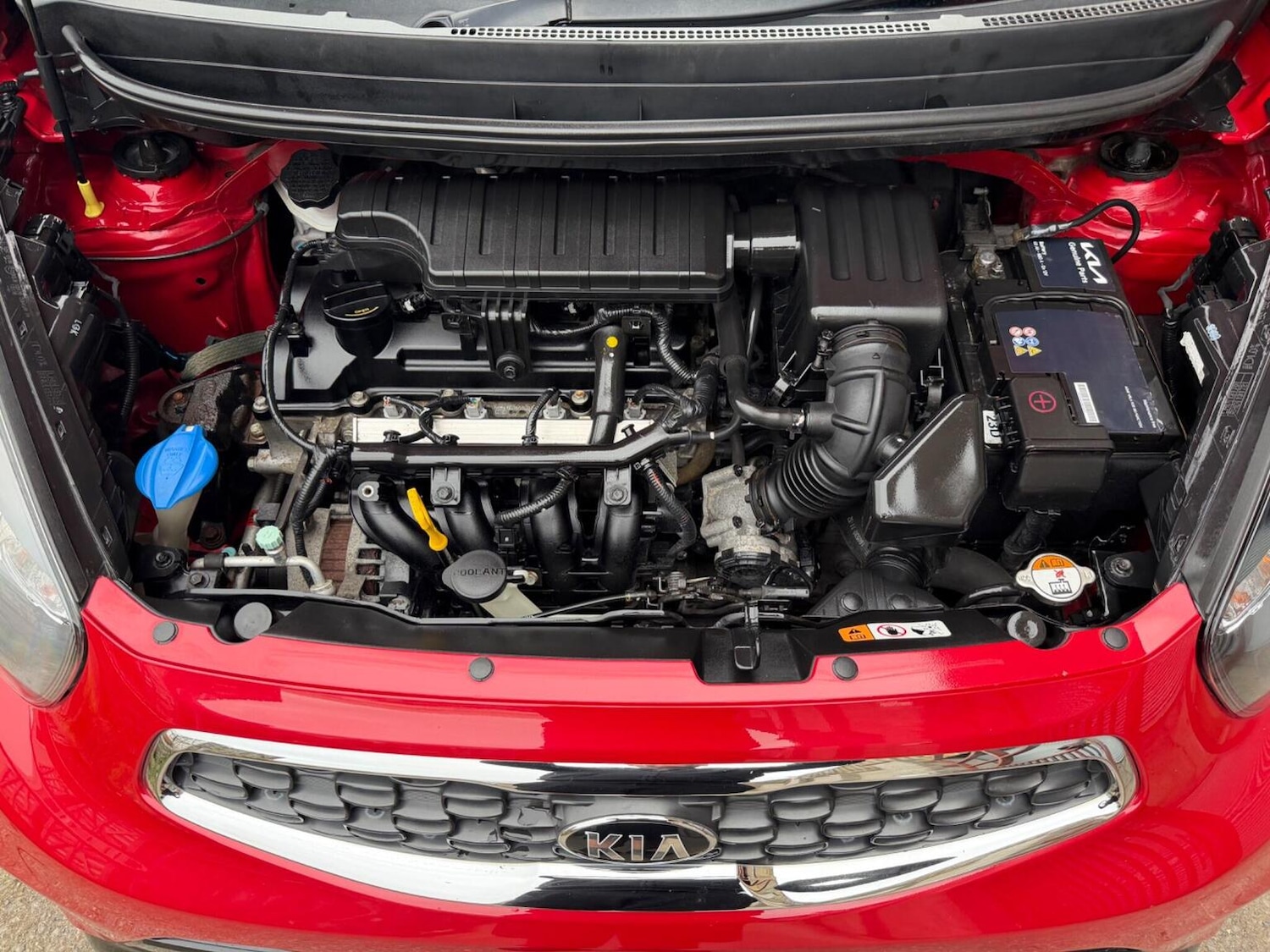 Used Kia Picanto 2017 for sale - 78004469: Photo 15