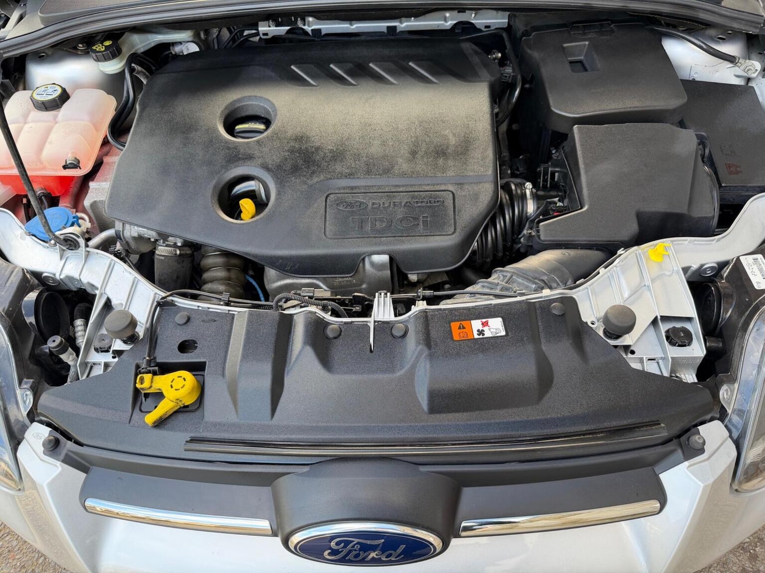 Used Ford Focus 2013 for sale - 77303700: Photo 14