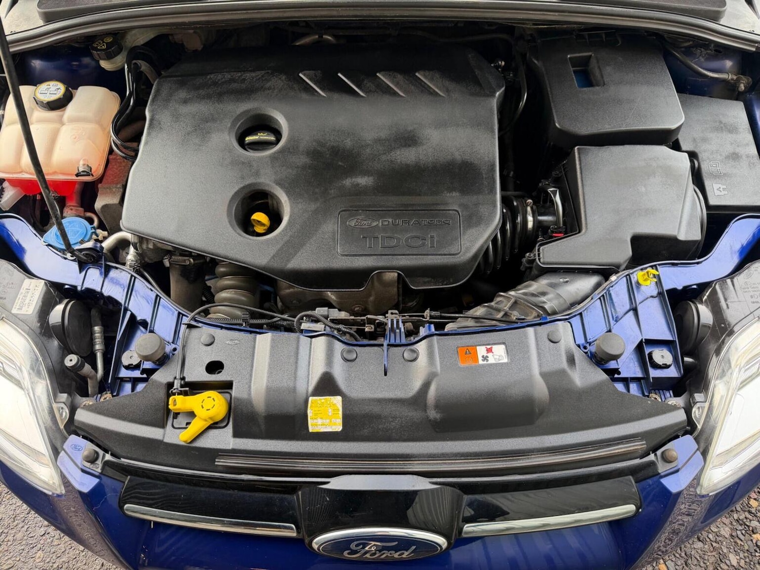 Used Ford Focus 2014 for sale - 77636968: Photo 15