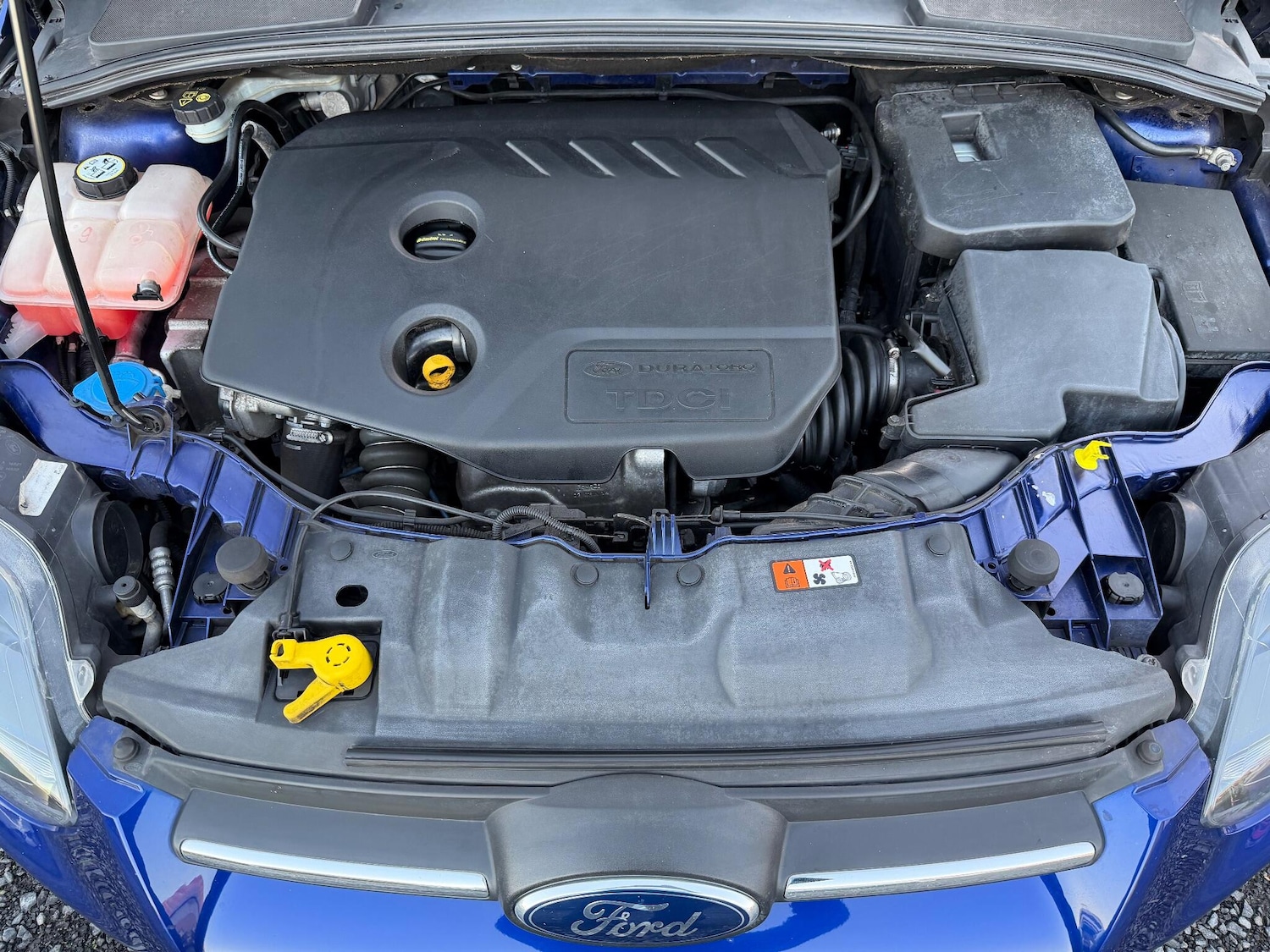 Used Ford Focus 2014 for sale - 76700753: Photo 15