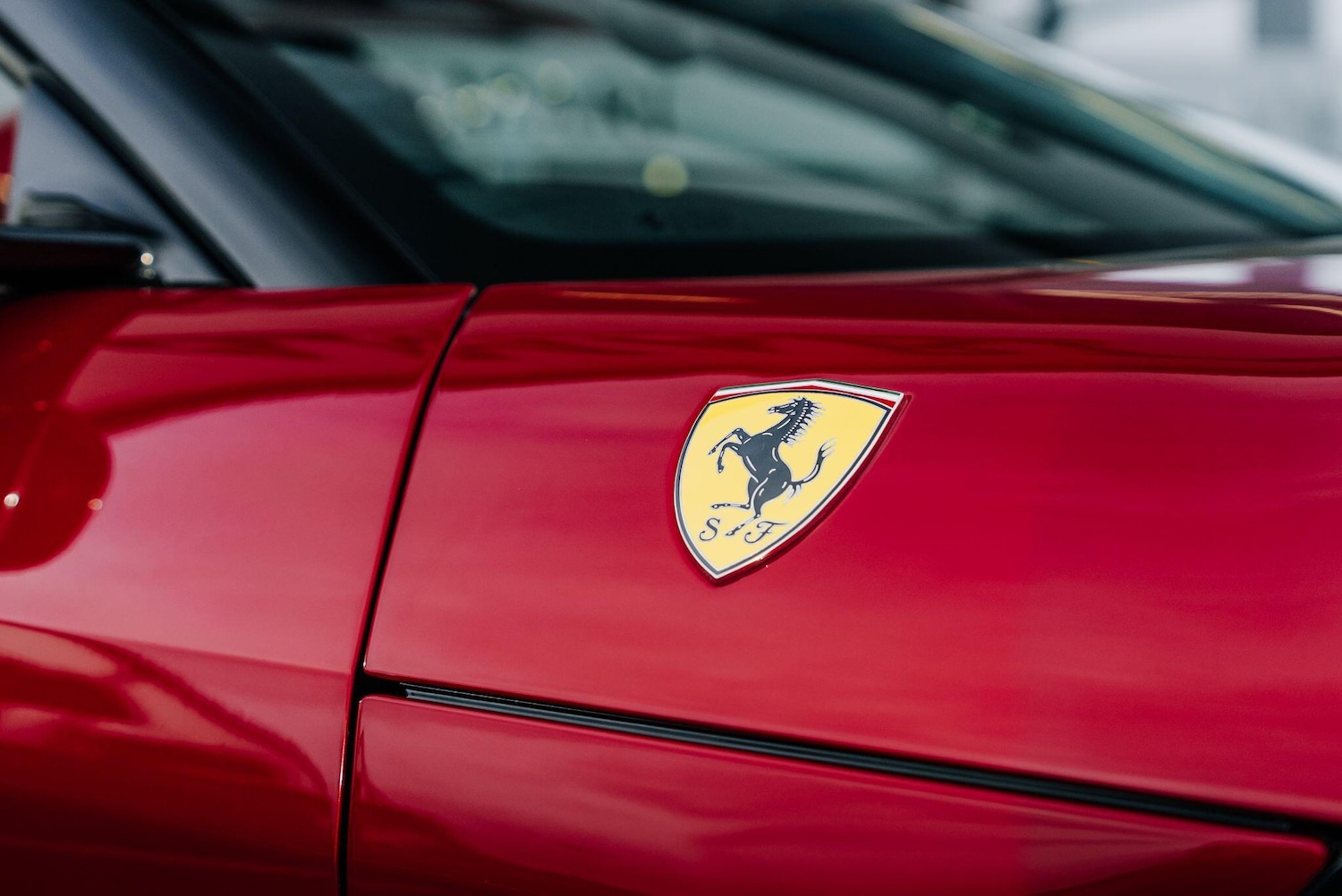 Used Ferrari 12 Cilindri for sale - 77174828: Photo 19