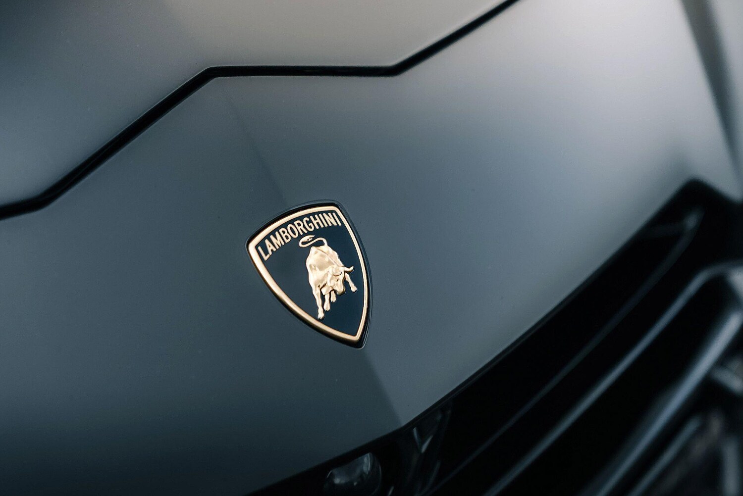 Used Lamborghini Urus 2023 for sale - 76989023: Photo 16