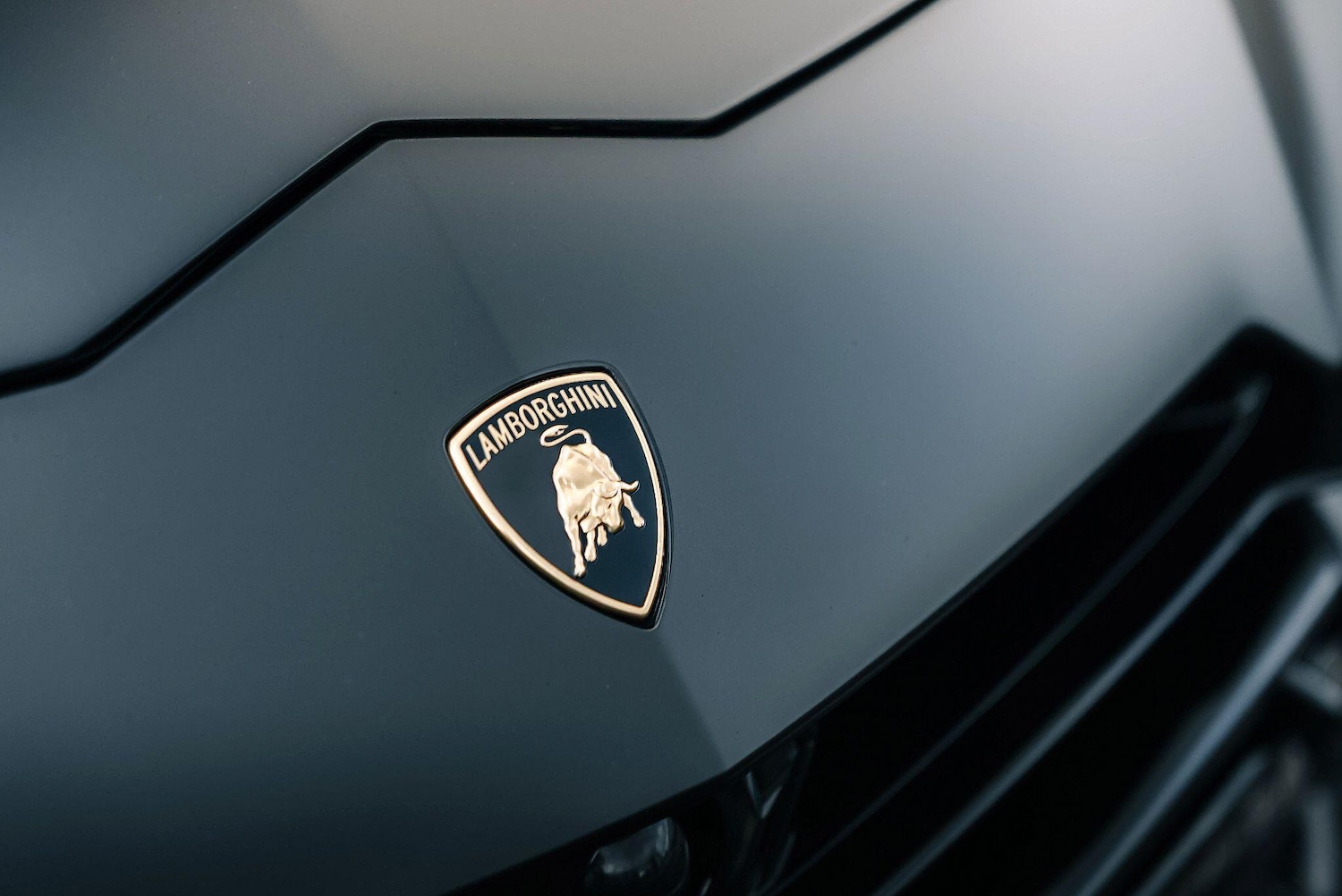 Used Lamborghini Urus 2023 for sale - 76282626: Photo 16