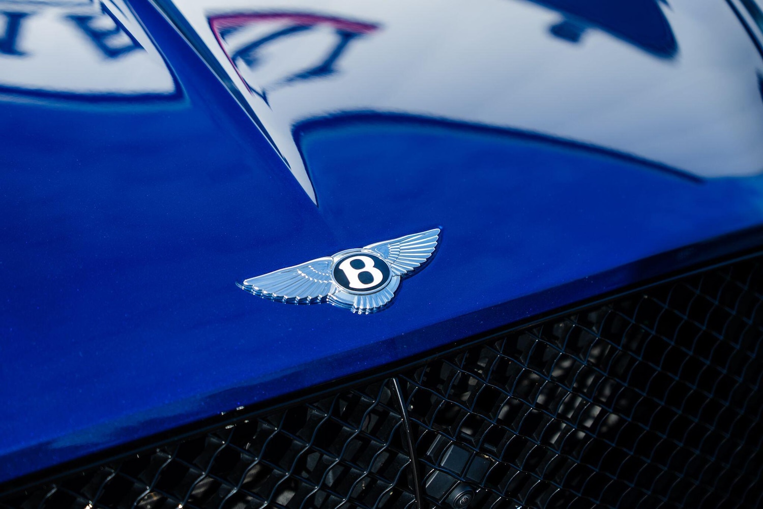 Used Bentley Continental 2024 for sale - 76284405: Photo 19