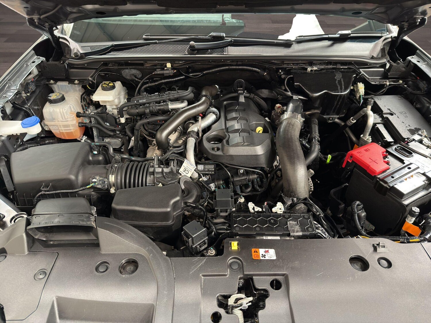 Used Ford Ranger for sale - 77768369: Photo 30