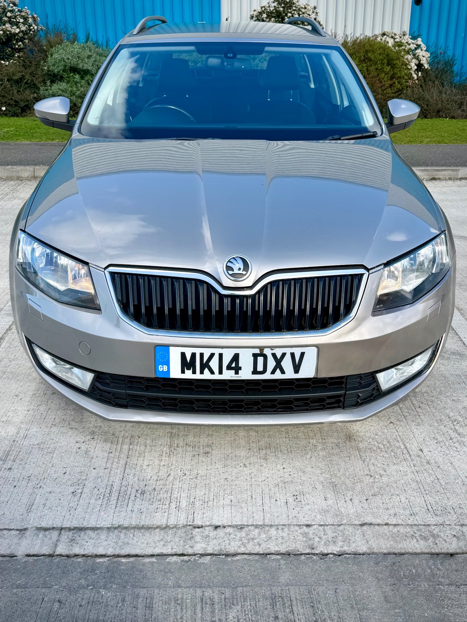 Used Skoda Octavia 2014 for sale - 77836743: Photo 8