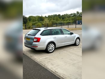 Used Skoda Octavia 2019 for sale - 79584095: Photo