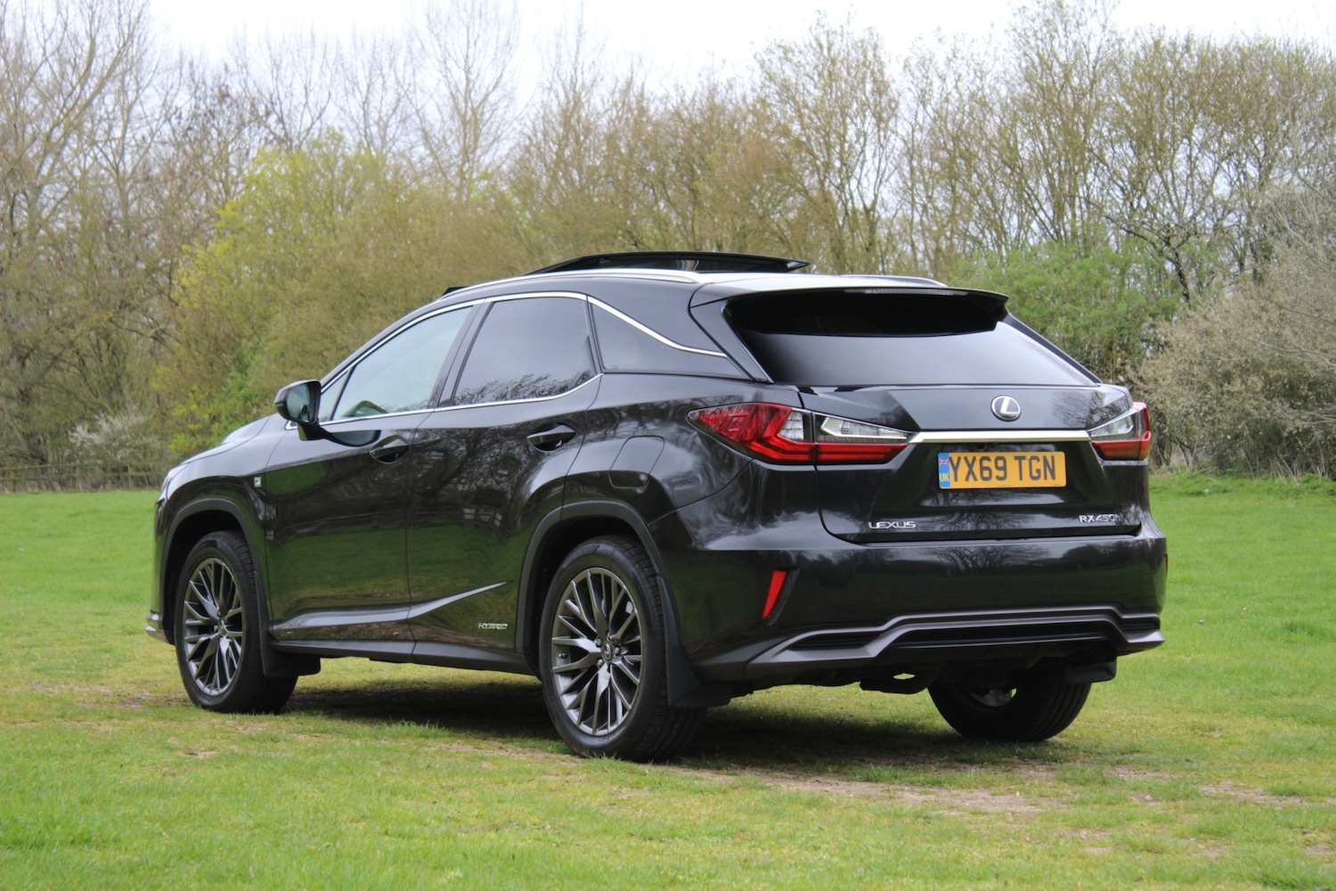 Used Lexus RX 2019 for sale - 78083837: Photo 3